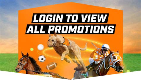 neds betting login